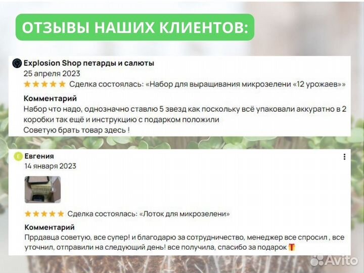 Качественная микрозелень