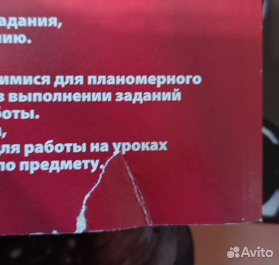 Впр 8 класс новые