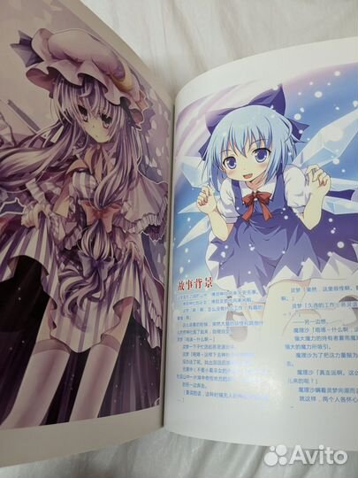 Artbook Touhou project