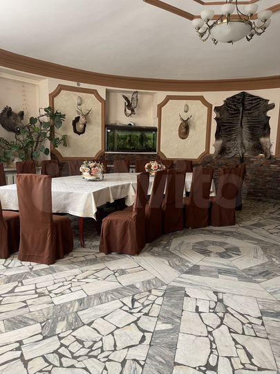 Общепит, 650 м²