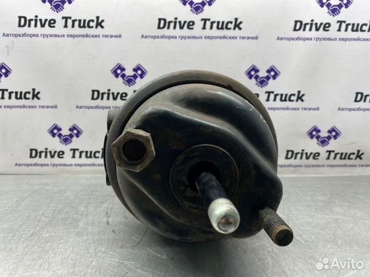 Энергоаккумулятор knorr задний Iveco Stralis