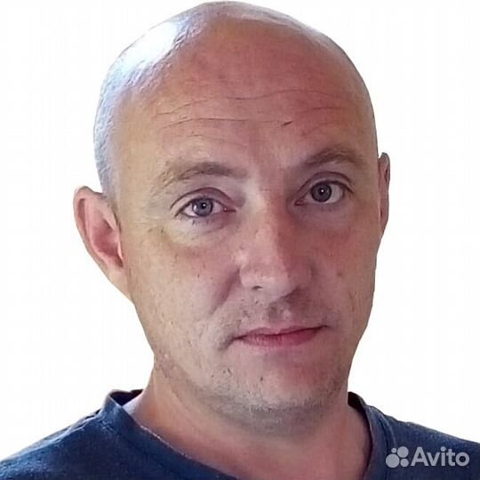 Программист php, web программист, чат-боты, chatGP