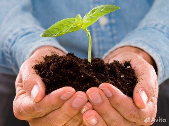 Торфосмесь (касимов )