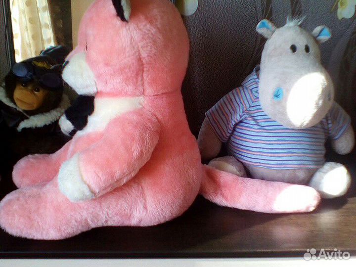 Кот и бегемот