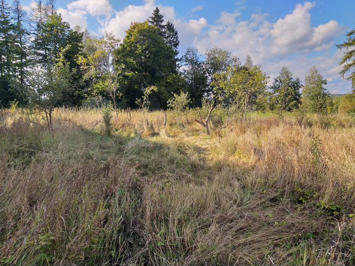 Дом 44 м² на участке 80 сот.