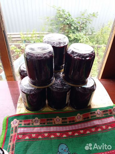 Саженцы шелковицы черной и варенье 2023