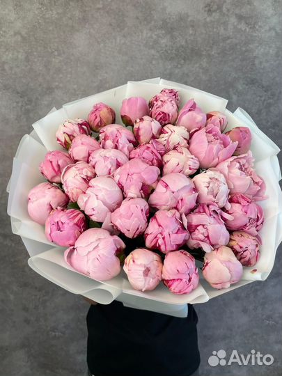 Пионы букет с доставкой