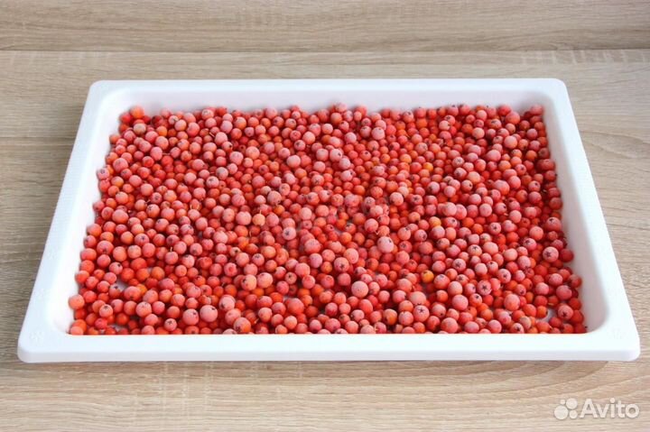 Замороженная красная рябина
