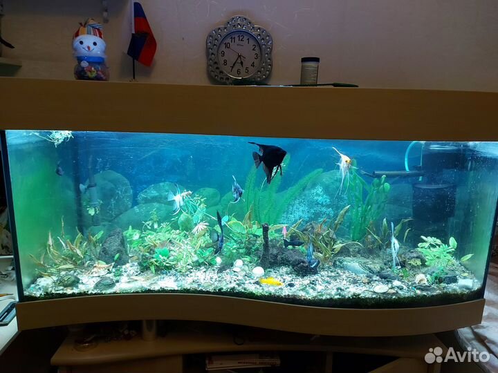 Аквариум Эхейм
