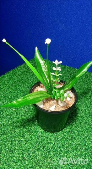 Искусственные цветы в горшках травка