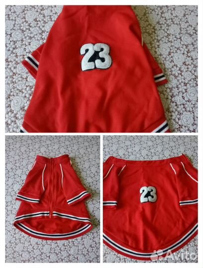 Разная одежда на собак средних пород