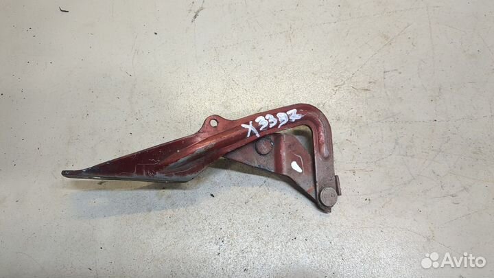 Петля капота Ford Focus 2, 2008