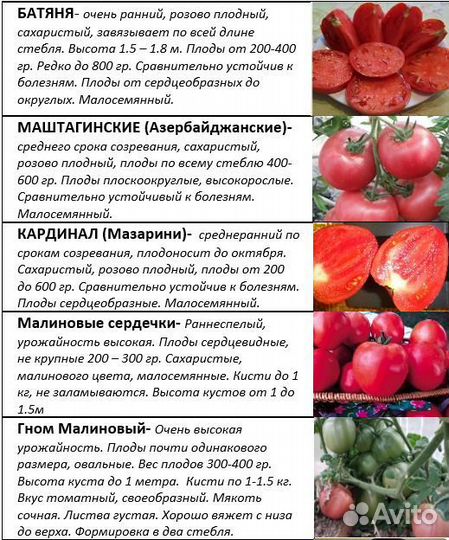 Семена коллекционных сортов томатов