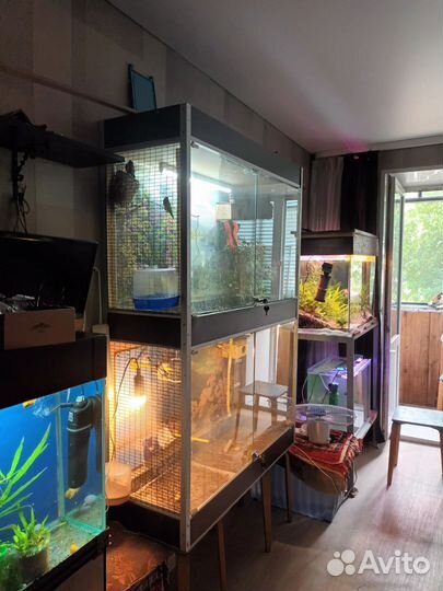 Бокс для птиц или грызунов