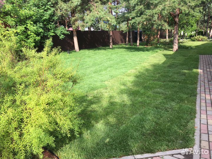 Рулонный газон от производителя опт цена