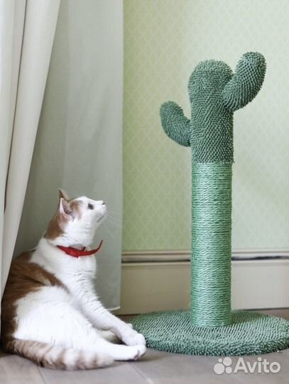 Товары для животных