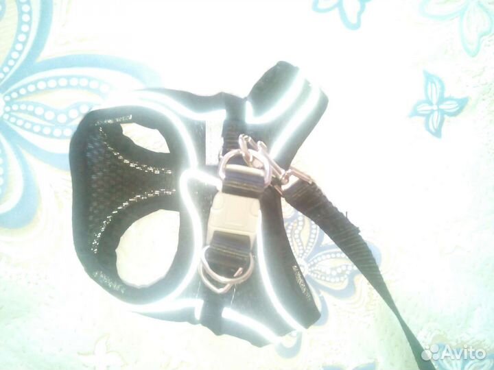 Шлейка+поводок для собак, кошек