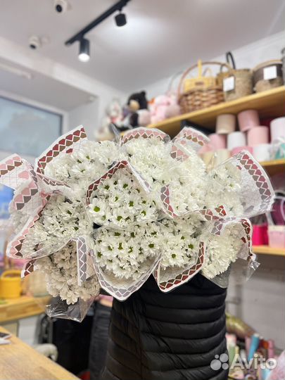 Цветы:Хризантема кустовая