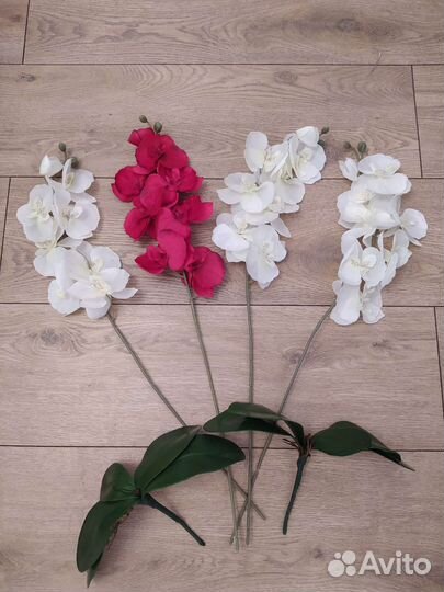 Орхидея ветка, листья искусств