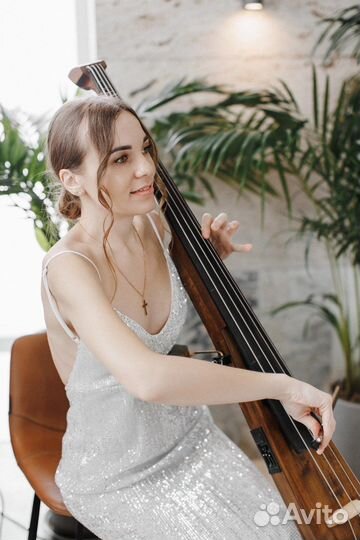 Музыкант на мероприятие, живая музыка