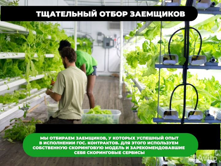 Инвестиции