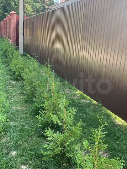 Участок 12 сот. (ИЖС)