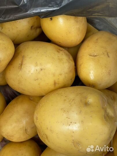 Агроконсалтинг