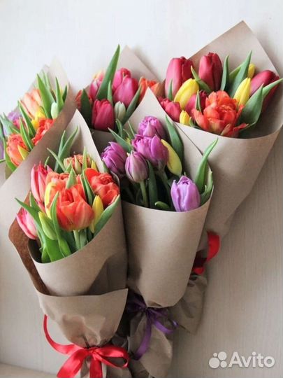 Тюльпаны опт