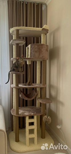 Домик для кошки с когтеточкой, кошачий домик