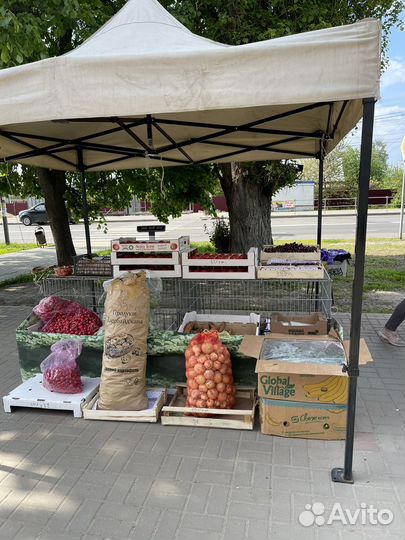 Работа продавец фрукты овощи