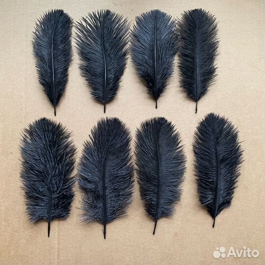 Перья страуса для творчества