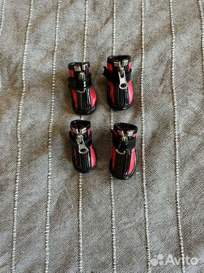 Ботинки для маленькой собаки