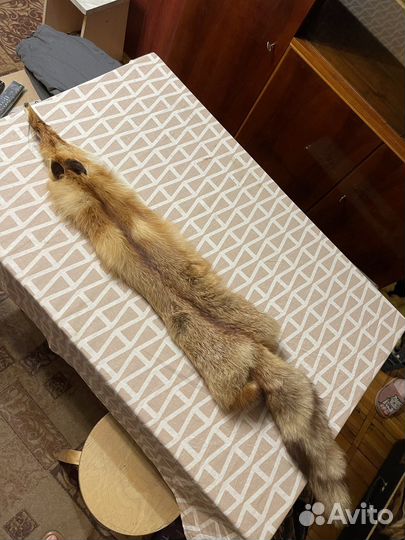 Шкурки лисы, енота, барашки, норки, барсука