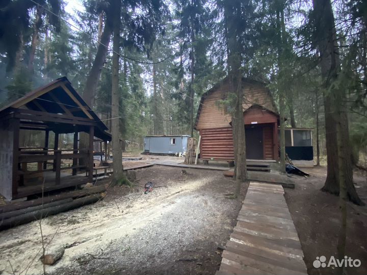 Русская баня на дровах