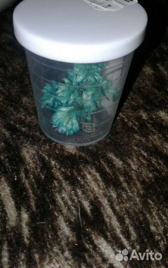 Цветы (читайте описание)