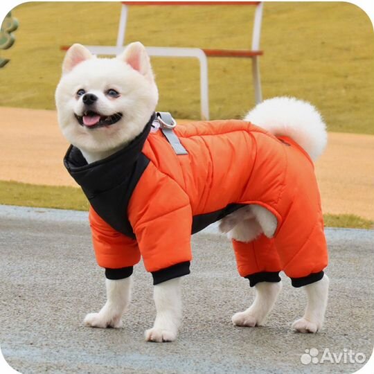 Зимняя одежда для собак 43см