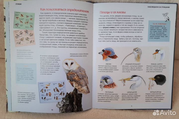 Новые энциклопедии для детей