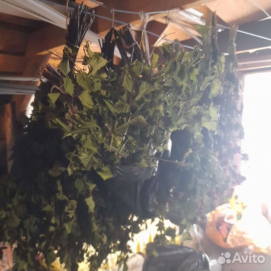 Веники для бани березовые с можжевельником