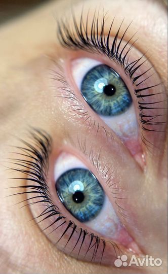 Ламинирование ресниц + окрашивание + ботокс