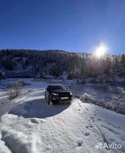 Аренда без водителя Range Rover. Новосибирск