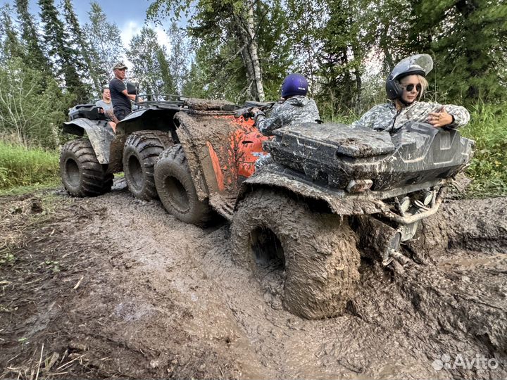 Аренда квадроцикла