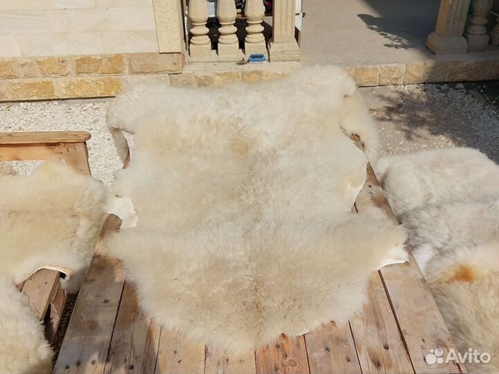 Овечьи шкуры(много)