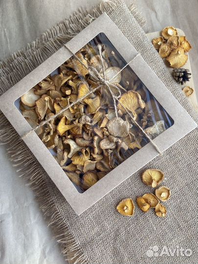 Грибы Лисички Белый гриб