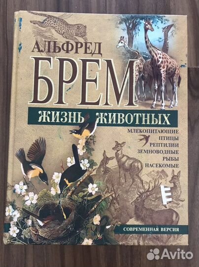 Альфред брем жизнь животных