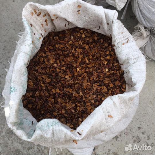 Скорлупа кедрового ореха