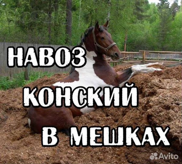 Конский новоз