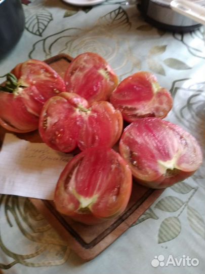 Семена коллекционных томатов. Все сорта достойные