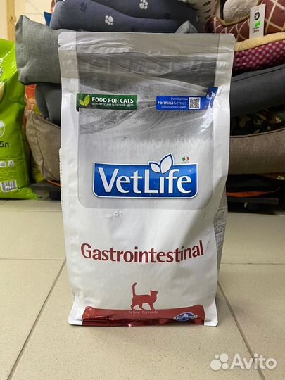 Фармина для кошек