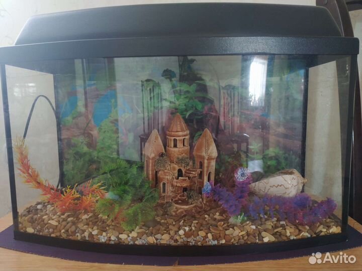 Аквариум