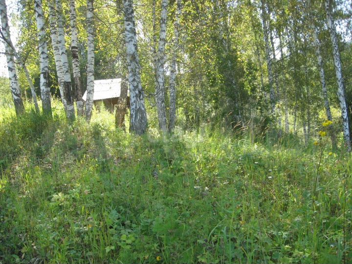 Участок 19,2 га (промназначения)